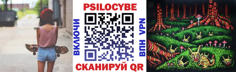 blacksprut ССЫЛКА  Верея  Галлюциногенные грибы Psilocybe 